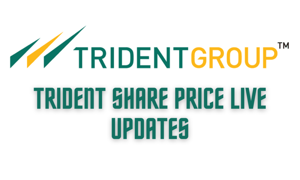 Trident Share Price Live Updates